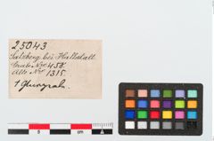 Etiketten zu Glasringperle (NHMW-PRAE-025043)